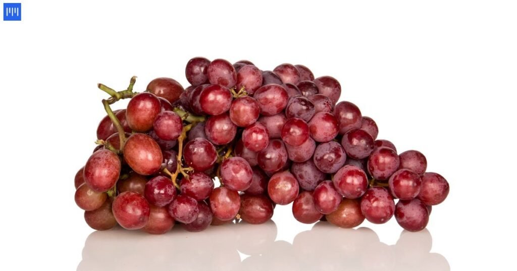 Grape Cluster Stem