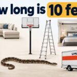 how long is 10 feet
