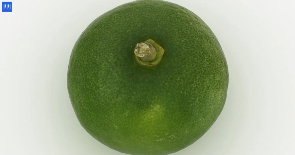 Small Lime